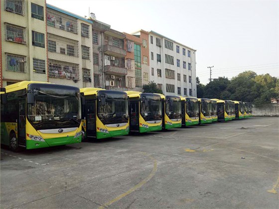 郴汽集團嘉禾城鄉(xiāng)公交好司機，百萬存折尋失主